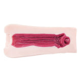 Virgin Devil Girls Pleasure Demon Infinity with Lotion-GODSR001