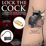Lock Down Chastity Cage-AH599