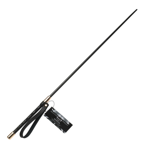 Master Series Sinful Impact Cane - Black Plastic Cane Whip-AH598