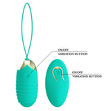 Party Up IAN Remote Egg - Teal - Teal USB Rechargeable Vibrating Egg with Wireless Remote-BI-014362W-3A4-PU