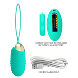 Party Up IAN Remote Egg - Teal - Teal USB Rechargeable Vibrating Egg with Wireless Remote-BI-014362W-3A4-PU
