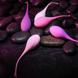 Evolved TIGHT & DELIGHT - Kegel Trainer Set - 5 Piece Kit-EN-KB-8836-2