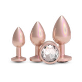 Rear Assets Trainer Kit - Iridescent Champagne - Iridescent Champagne Metallic Butt Plugs - Set of 3 Sizes-NSN-0960-06