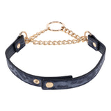 Sex & Mischief Cougar Day Collar - Navy Blue/Gold Collar-SS09974