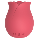 Rose (Pink)-CN-624304345