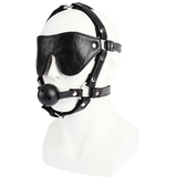 Ball Gag with Eye Mask-CN-738904232