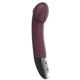 Rechargeable Silicone Vibrator (Rubine Red)-FPBR016A00-028