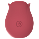 Rose (Pink)-CN-624304345