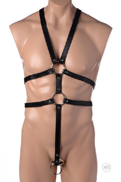 Male Full Body Harness