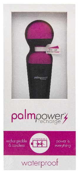 PalmPower Massage Wand Recharge Waterproof