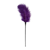 Feather Tickler Purple